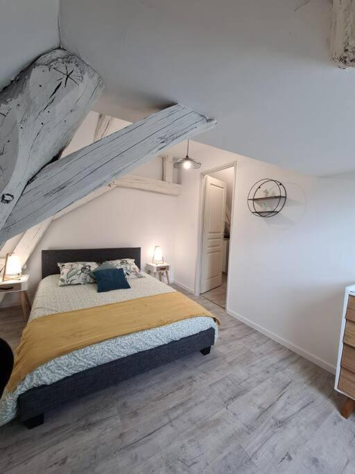 Centre Ville 3 Pieces Envoutant Sous Combles 40M² Joigny Luaran gambar
